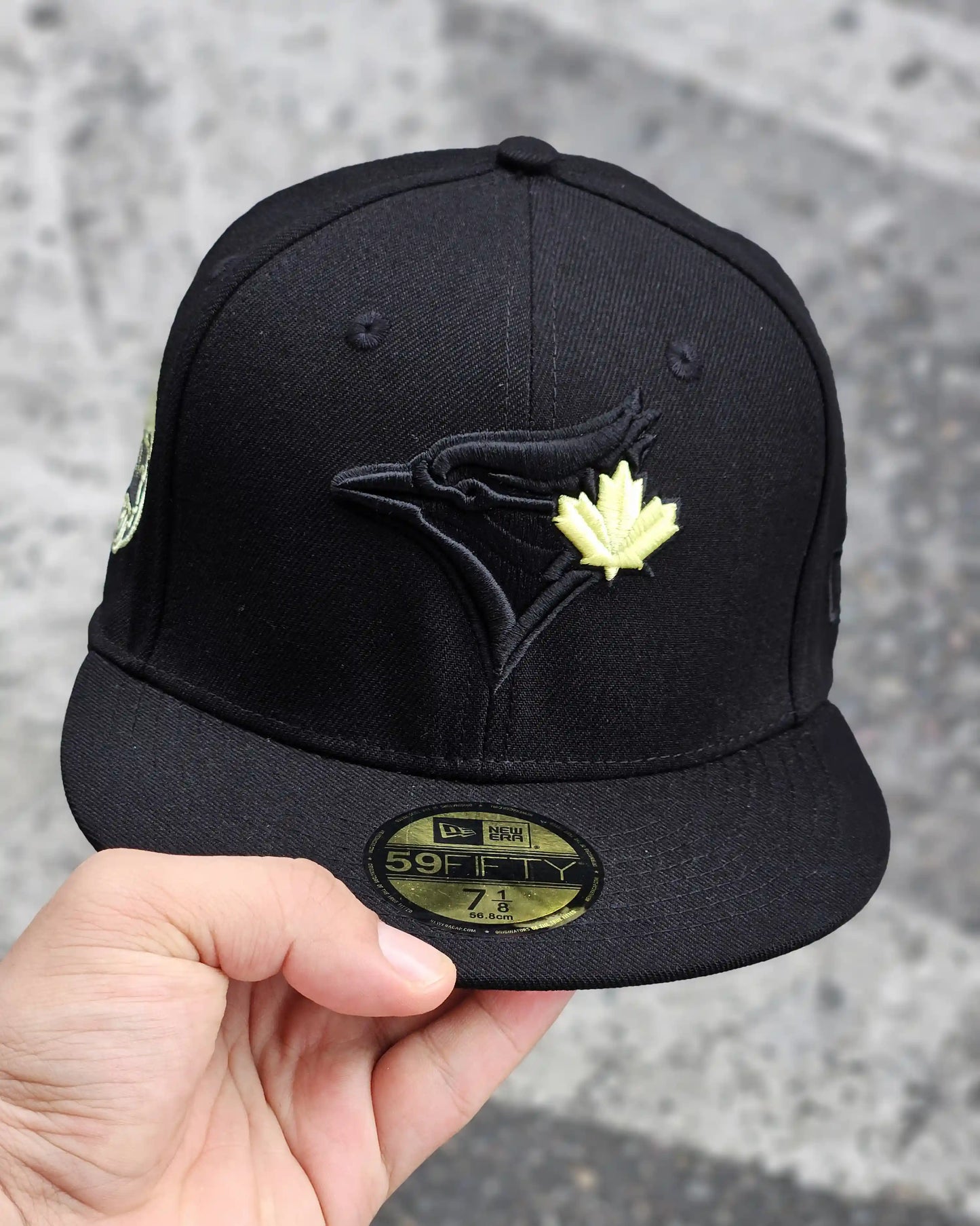 TORONTO BLUE JAYS NEGRO BLACK & BLACK & YELLOW