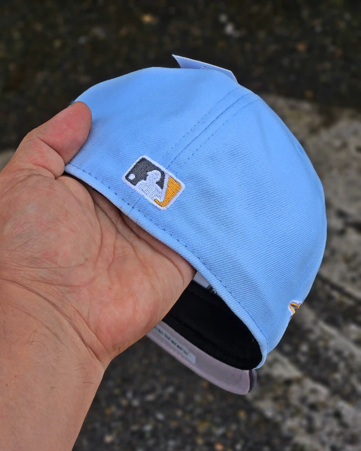 TORONTO BLUE JAYS CELESTE 25TH SEASON