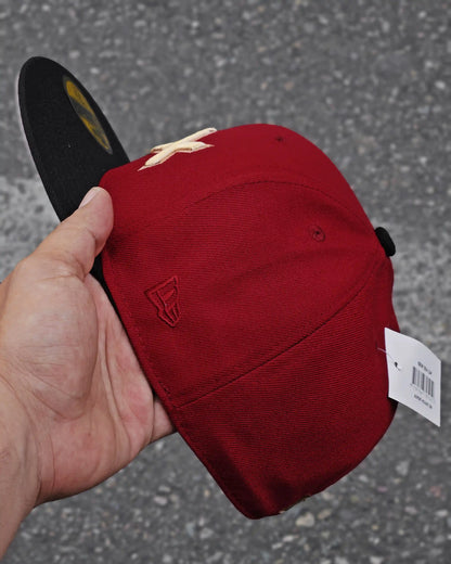 HOUSTON ASTROS VINOTINTO CITY CONNECT HTX